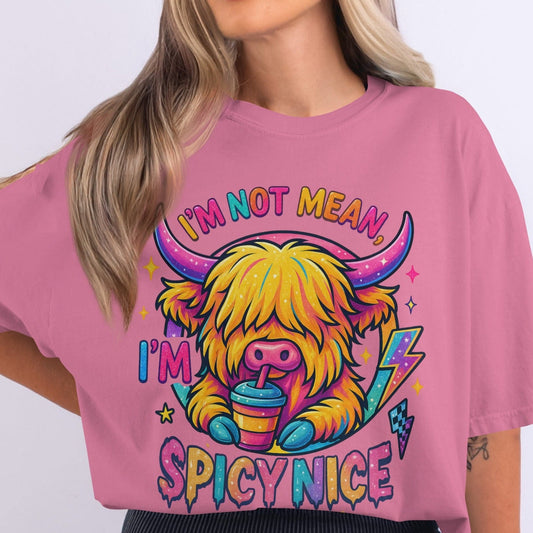 I'm Not Mean I'm Spicy Nice Colorful Graphic Shirt