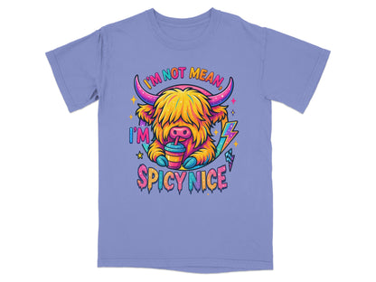 Im Not Mean Im Spicy Nice T-Shirt Product