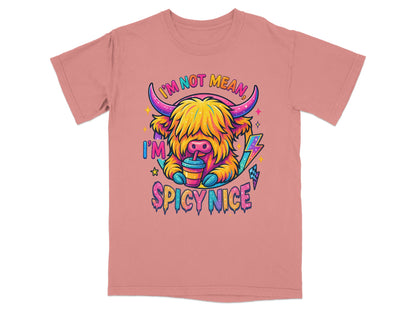 I'm Not Mean I'm Spicy Nice T-shirt Design